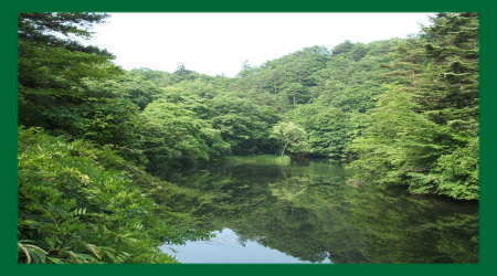 ����P�_��