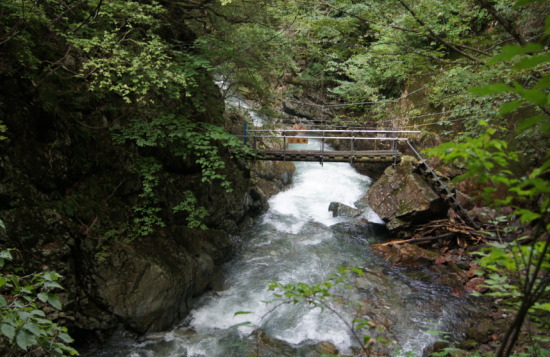 ���V��E�V��k�J