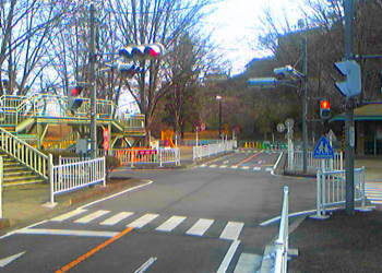 �{����������ȐM���@����������_