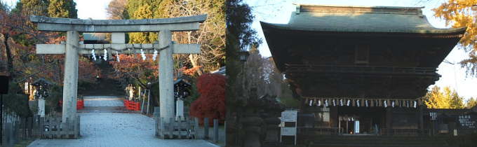 �Β����Ɛ��g��