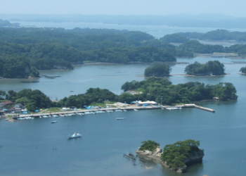 ���̏����p