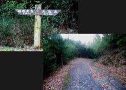 �P�D�X�����n�_