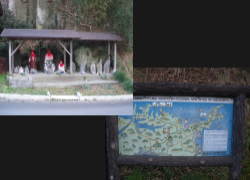 ���n������ƈē���