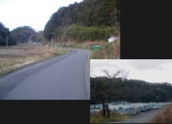 ���㌩���