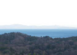 �卂�X���猩���i�F