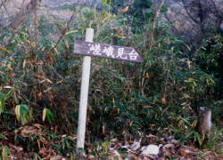 �V��������