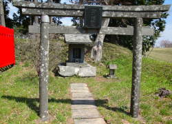 �h�����_��