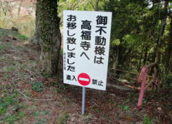 ���R�s������������