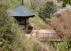 ���R�s��������