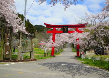 ���R�@�\�Q�������