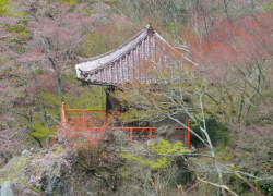 ���R�ω���