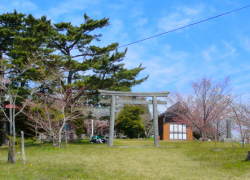 �����R�v�喃�_�Ђ̒���