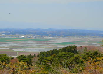 ���R����