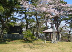 ���R �������R����