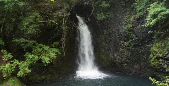 �����̑�