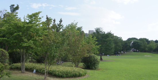 ���k�c����