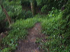 �l�����ւ̎Q�����̂P