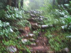 ����ɕ��ꂽ�Βi