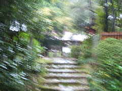 �l��������