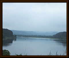 �_���̗l�q