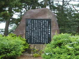 ���c���j���w��