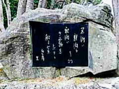 ���������Y���w��