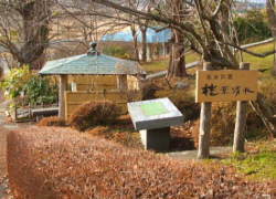 �j�t����