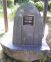 �݂€�V�ό������P�O�O�I�̔�