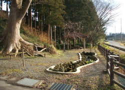 ���R����������