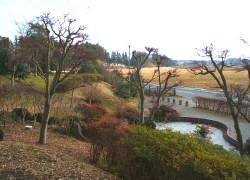 ���̏ォ��݂��j�t��������