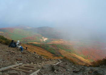 �o�R������t��