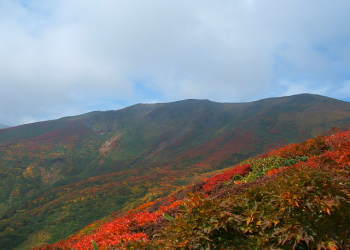 �����R�[�X���Ԓn�_���猩���I��R