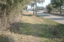 �����Q�W�U�����Ƃ̕���