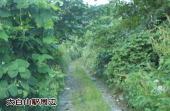 �����R�w�Վ���