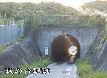 ���̑�w��