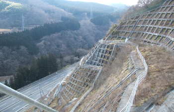 �؂藧�����Ζ�