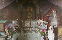 �ϑ���ω����@�{��