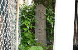 ���ԎD���@�Β�