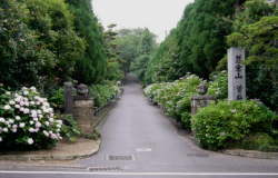 �������Q�������