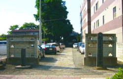 �Q���ƐΒ�