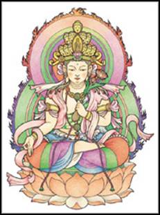 �\��ʊϐ�����F