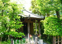 ��݉@�ω���