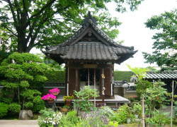 �����@�@�ω���