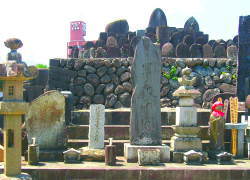 �V���Ζ��̕�