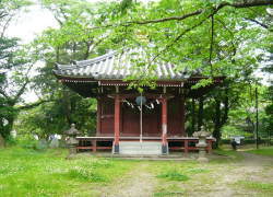 �����������ω���