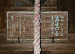 �ω�����r�̊z