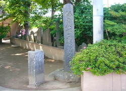 �O�\��ԎD���Β�