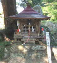 �q���ϐ�����F