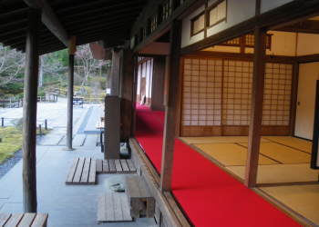 �{������