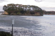 ������t��